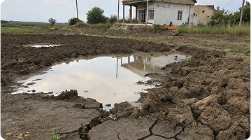 Глинистые и суглинистые почвы.